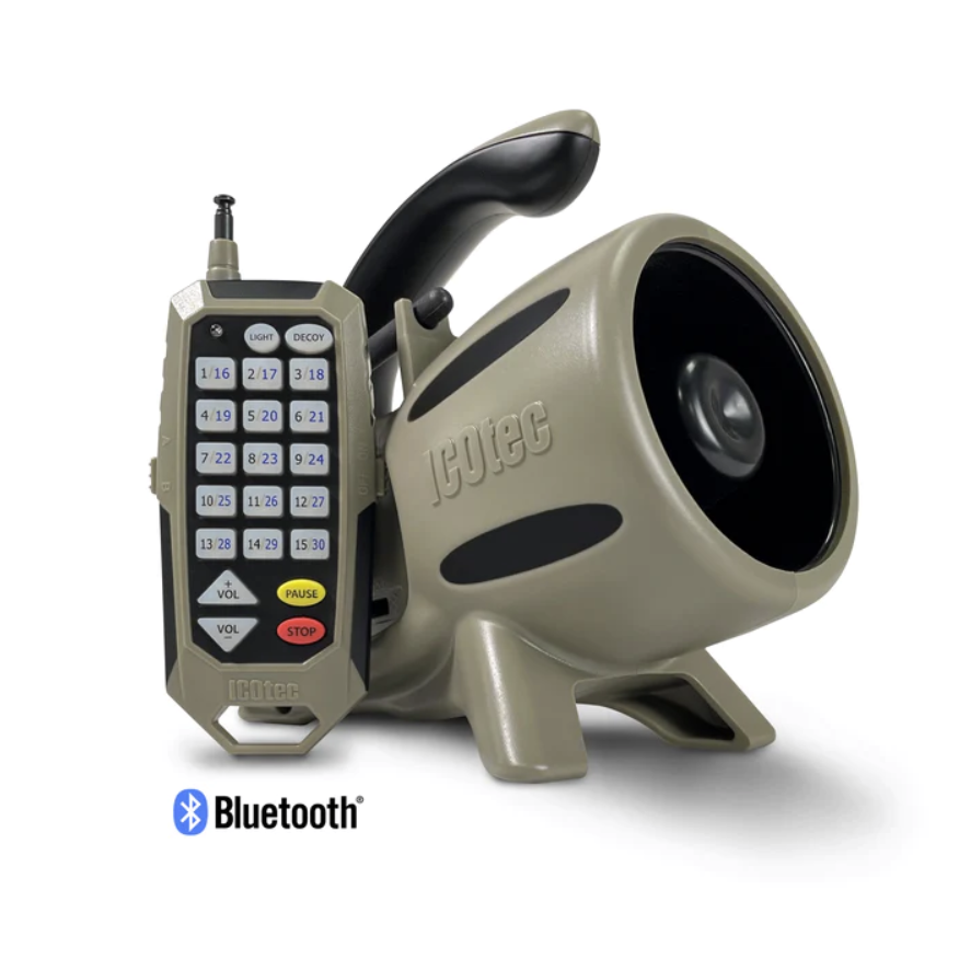 350+ Electronic Game Call