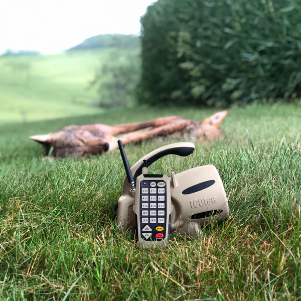 350+ Electronic Game Call