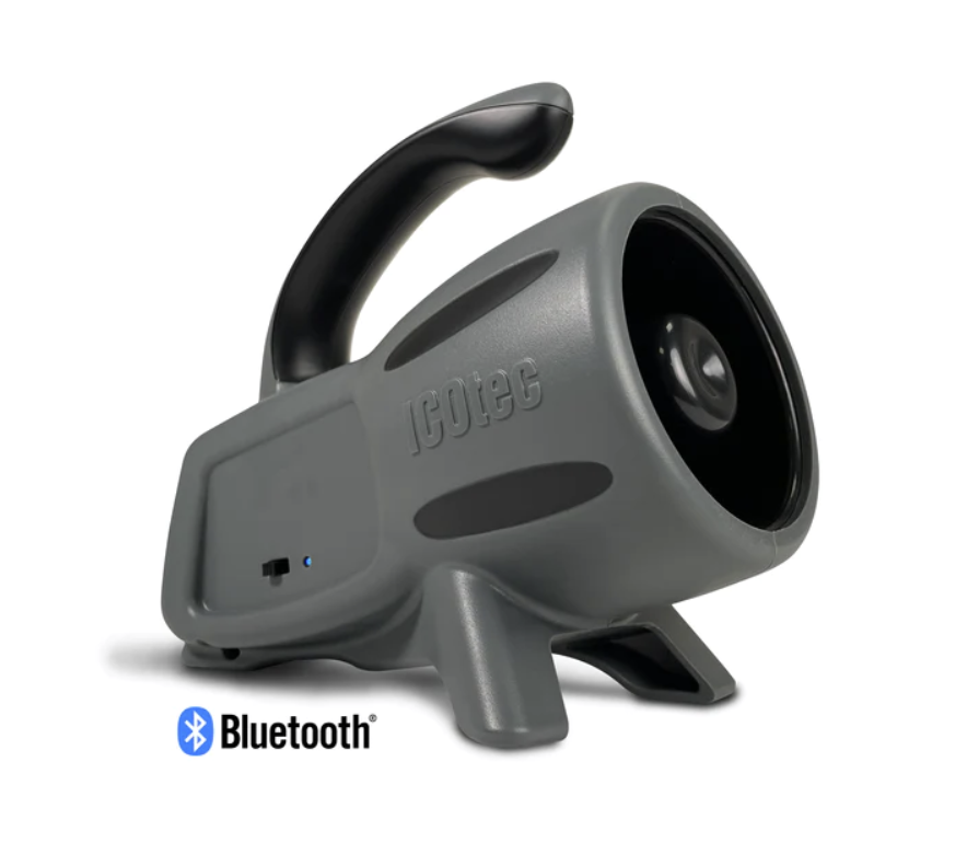 Rascal Electronic Game Call