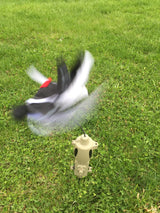 PD200 Universal Predator Decoy